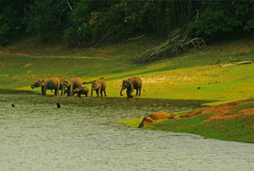 kerala-holiday-packages