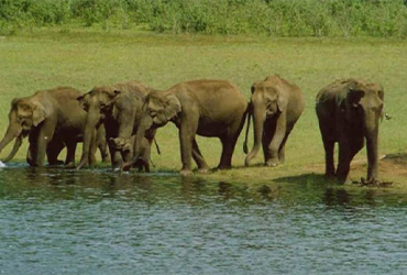 kerala-luxury-packages